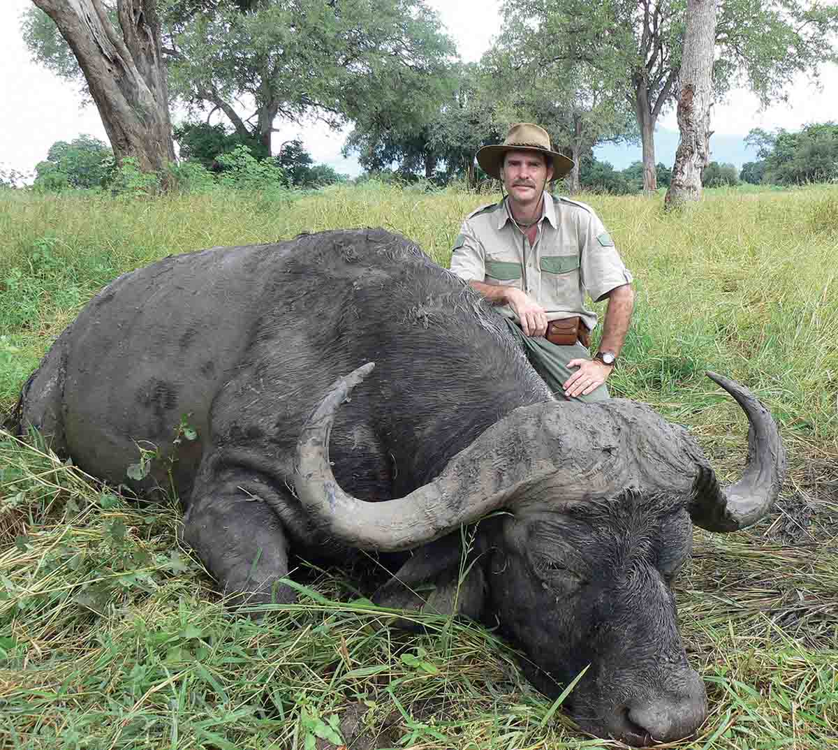 Buffalo taken in open country need accurate shot placement, not “stopping power.”